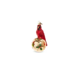Raz Eric Cortina 5" Elegant Cardinal Glass Christmas Ornament 4353115 -The Jolly Christmas Shop 4353115b 39734.1689693000