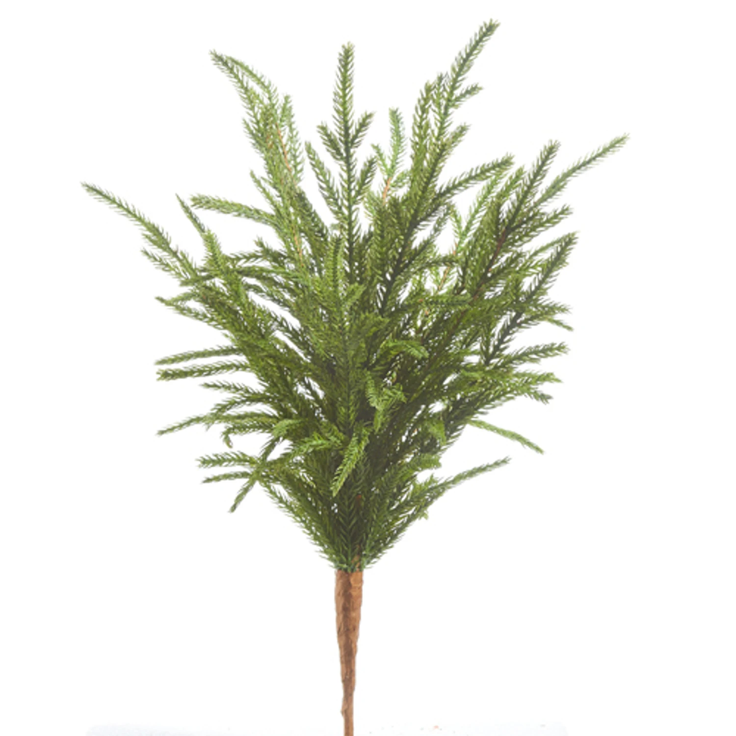 Raz 18" Soft Touch Norfolk Pine Christmas Tree Pick F4302383 3 Raz 18" Soft Touch Norfolk Pine Christmas Tree Pick F4302383