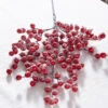 Raz 27.5" Snowy Red Berry Christmas Tree Spray F4306669 -The Jolly Christmas Shop F4306669 77732.1686061782