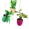 Cody Foster 4.5" Pothos, Snakeplant, Or Fern Christmas Ornament PO-2079 -The Jolly Christmas Shop PO 2079 1 53985.1691524871