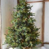 Raz 7.5' Forever Lit Green Big Sky Spruce Christmas Tree T4352009 -The Jolly Christmas Shop T4352009 37639.1686668708