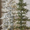 Raz 7.5' Pre-Lit Green Noble Fir Christmas Tree T4147022 -The Jolly Christmas Shop apidfivcc 65071.1691525499
