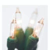 Brite Star 25' 100 LT Random Twinkling Clear Mini Incandescent Lights On Green 37-491-00 2 Brite Star 25' 100 LT Random Twinkling Clear Mini Incandescent Lights On Green 37-491-00 -The Jolly Christmas Shop apipbizpd 30469.1646091866